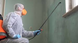 Why You Should Choose Our Mold Remediation Services in Pinewood, FL